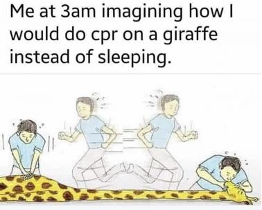 giraffe