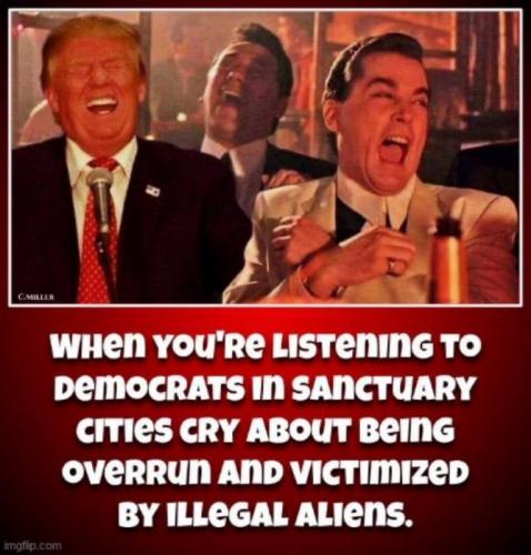X cry about illegals