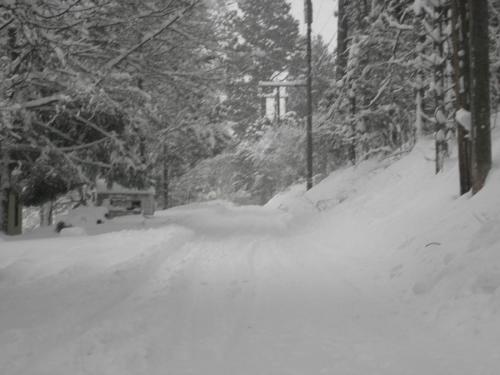 snow 014