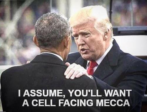 cell