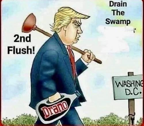 trump flush