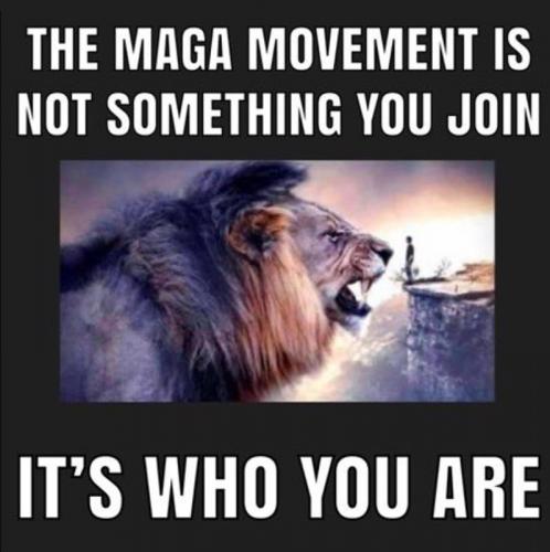 X MAGA movement