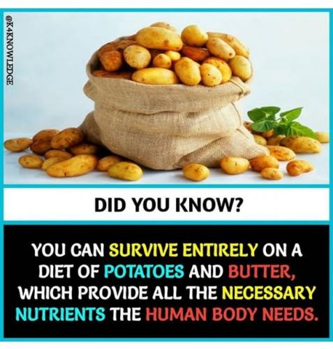 Did You Know, Health, Food -- Potatoes, Butter - All Necessary Nutrients