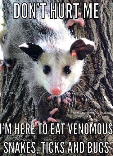 336797622_757220092572821_3665284299776607187_n