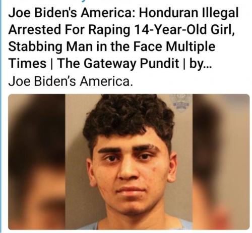 M Joe Biden's America