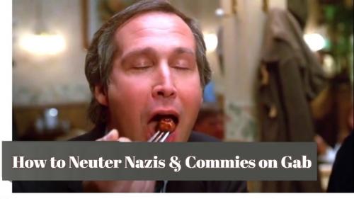 How to neuter Nazis on gab.800px