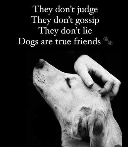 true friends