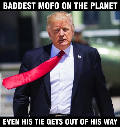1000020198