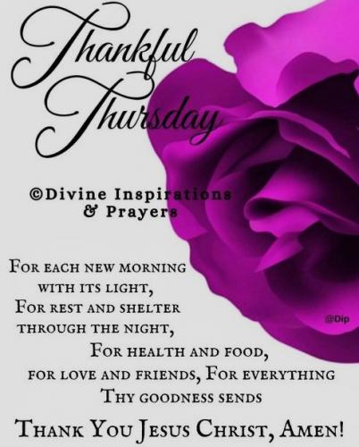 030724 - TF Thurs Purple Rose