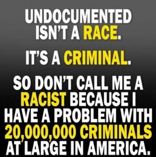 USA undocumented criminal