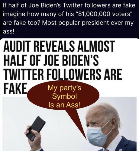 M fake voters