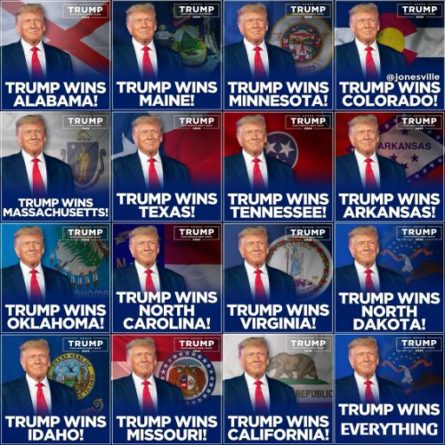 trump suporter 121