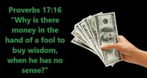 X buy wisdom