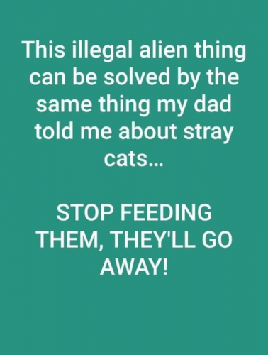 M stop feeding them