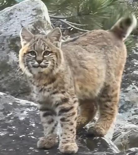 Screenshot_20240317-081854_Gallery