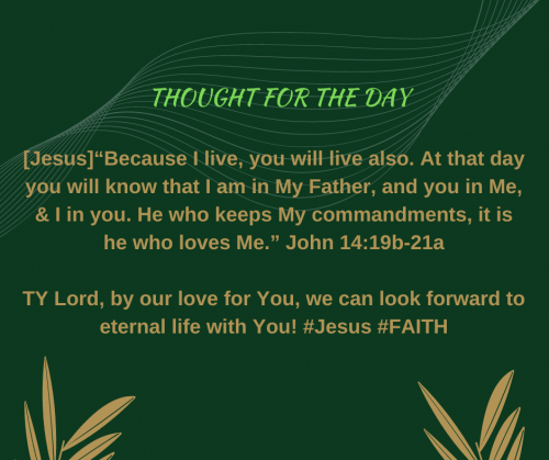 TWEET 03-01-24