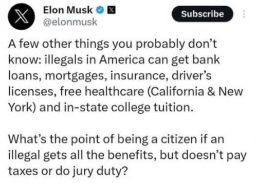 M Elon Musk