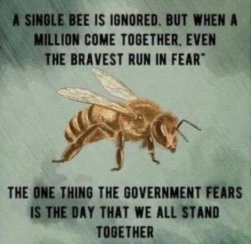 RO single bee