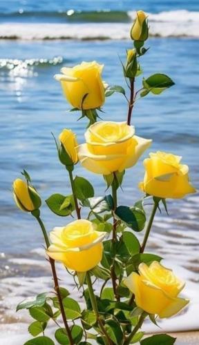 bd6766b007207c1316291cae03a70bf8