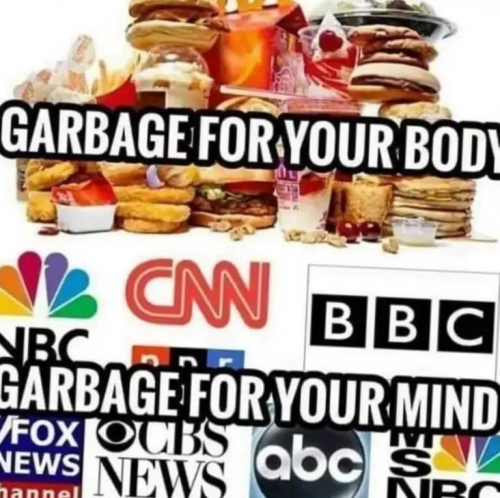 Mainstream Media, CNN, MSNBC, ABC, CBS, NBC, FOX, BBC  -- Garbage for the Mind