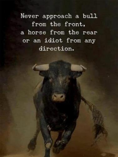B approach bull