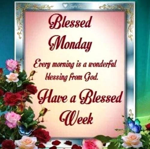 042224 - Every morning a blessing
