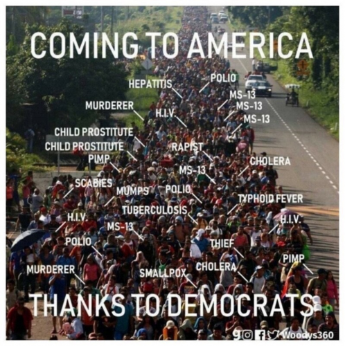 Illegal aliens - thank a democrat