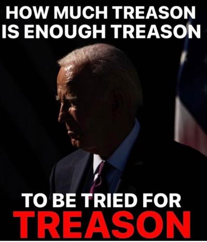 how much treason