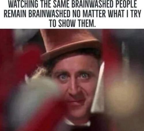 brainwash