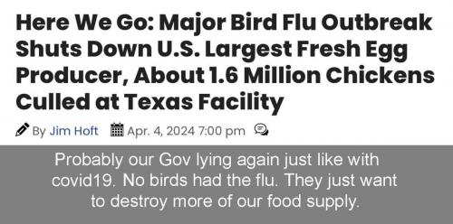 bird flu ha