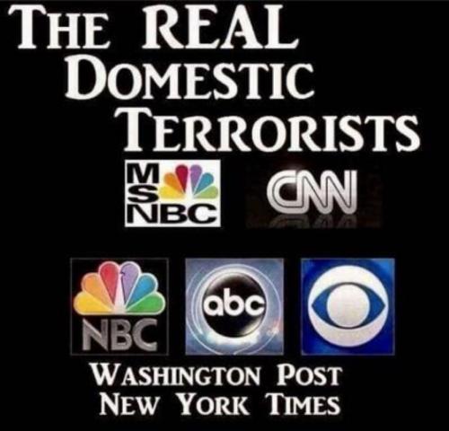 M real domestic terrorists