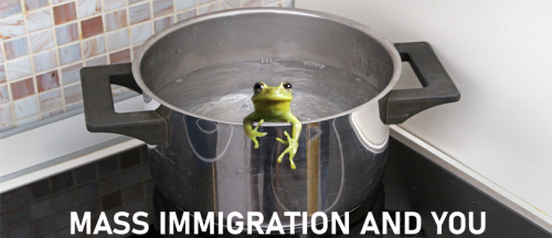 Frog-boil-Mass-Immigration