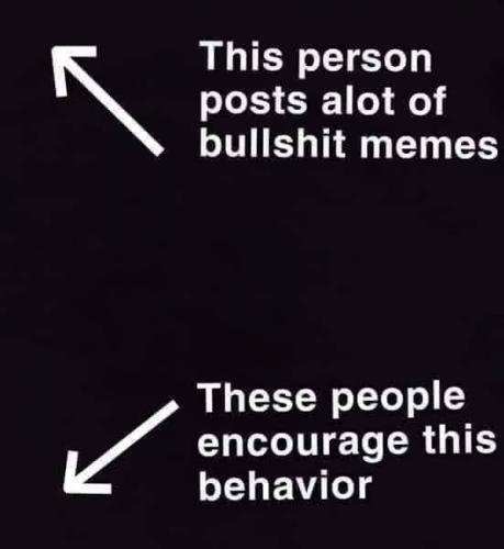 Meme - This person posts...