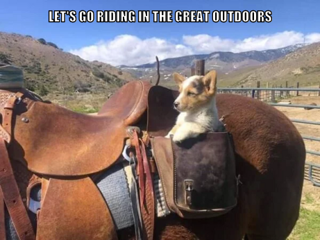 riding