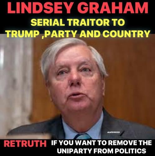 serial traitor