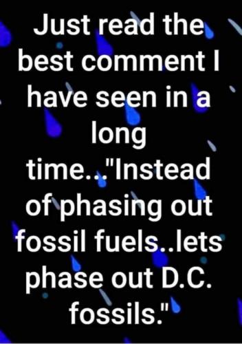 M phase out