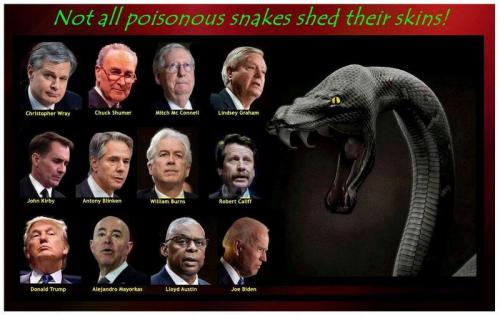 Snakes