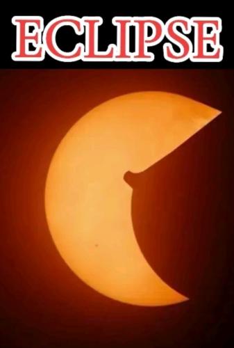 Screenshot_20240409-040936_Gallery