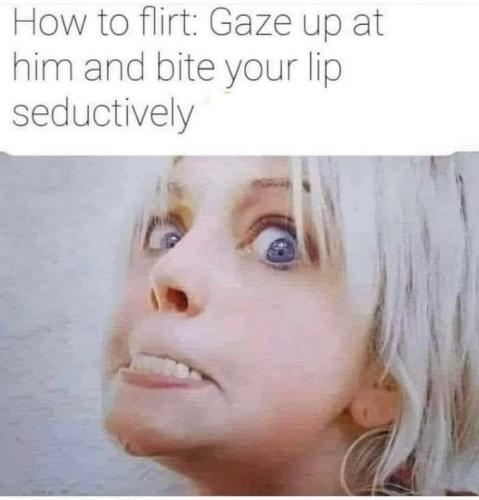 f2fa67ef701460ec