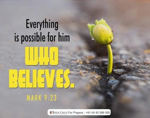 IMG_20240424_124518_314