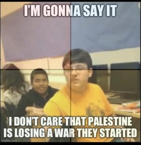 PALESTINE LOSING THE WAR