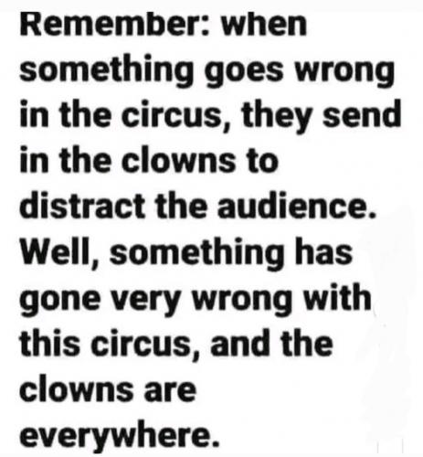 Screenshot_20240418-190926_Gallery