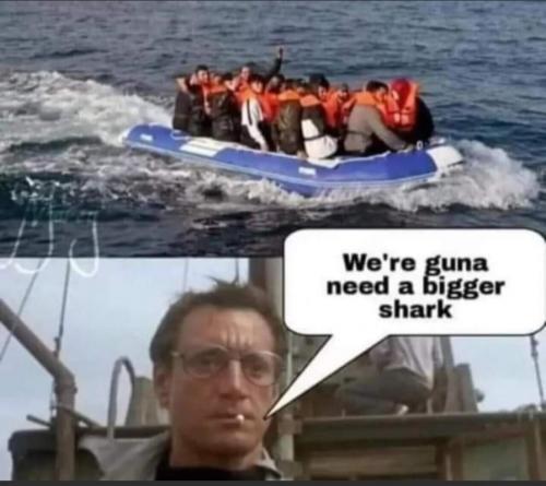M bigger shark