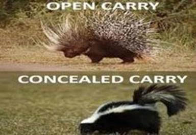 Guns, Porcupine vs. Skunk -- Open Carry vs. Conceal Carry