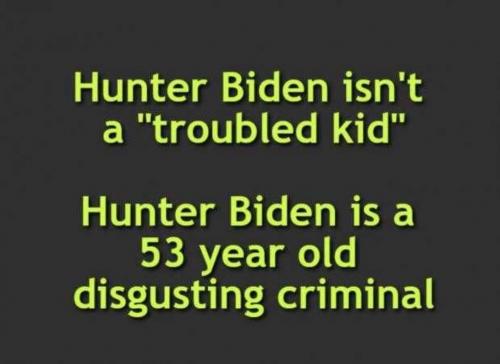 USA disgusting criminal