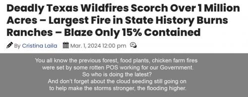 Gov sponsored TX fires