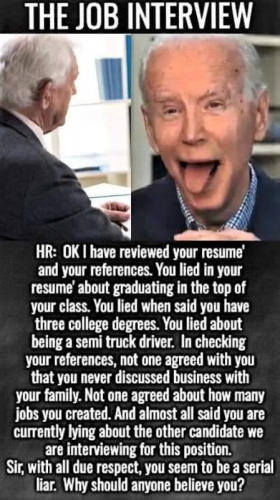 M Biden job interview