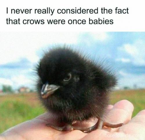 1000020977
