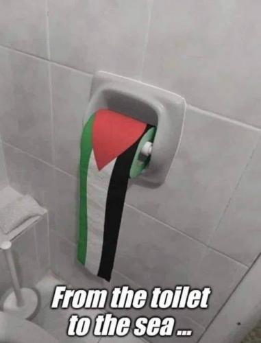 Toilet2Sea