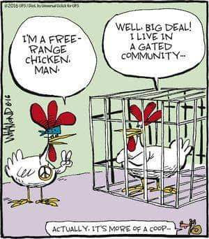 Free Range Chicken vs. Gated Community